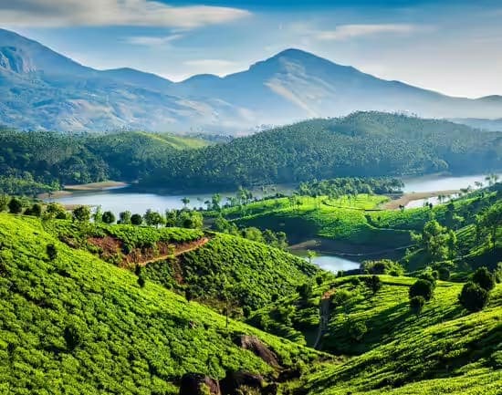 Kerala - God's Own Country